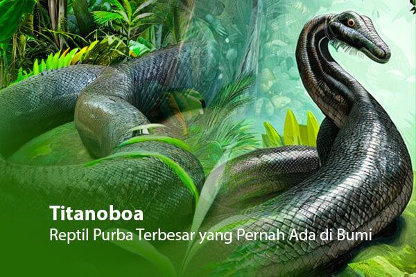 Titanoboa: Reptil Purba Terbesar yang Pernah Ada di Bumi