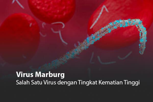 Virus Marburg: Salah Satu Virus dengan Tingkat Kematian Tinggi